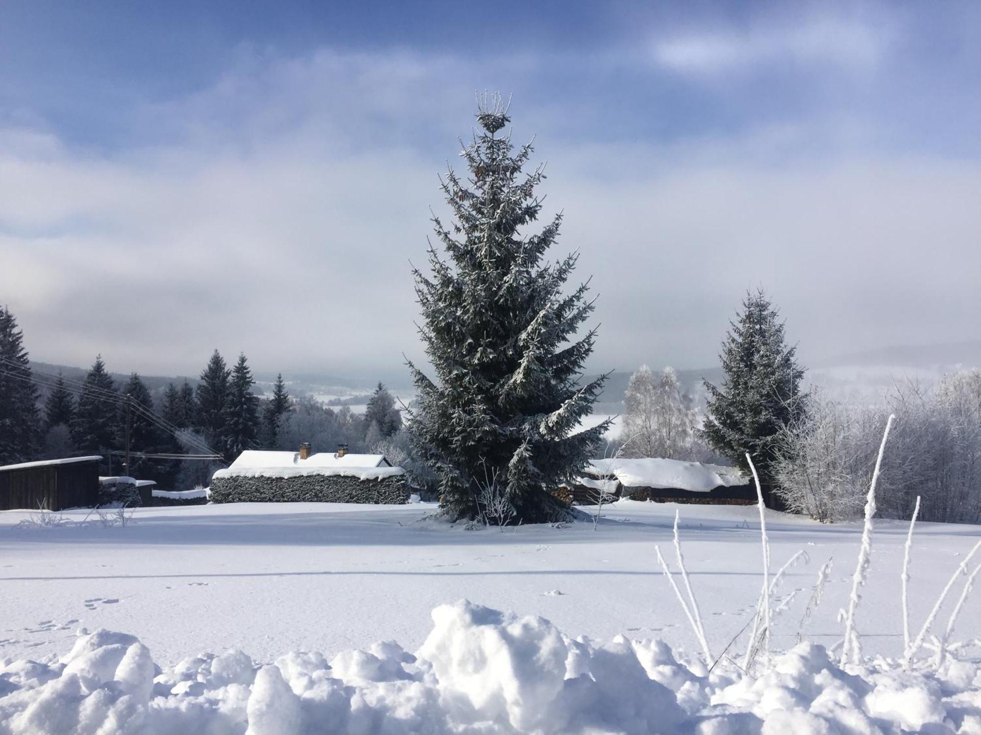 Apartmany Hajovna Lipno Лоучовице Экстерьер фото