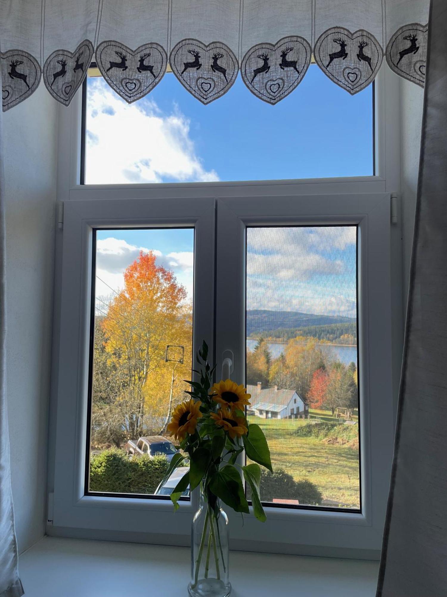 Apartmany Hajovna Lipno Лоучовице Экстерьер фото